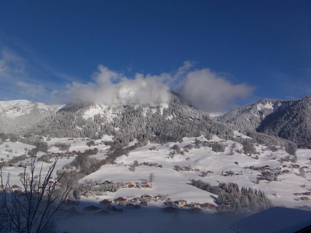 Hotel Les Bernards Praz-sur-Arly Zewnętrze zdjęcie