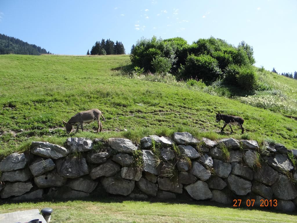 Hotel Les Bernards Praz-sur-Arly Zewnętrze zdjęcie